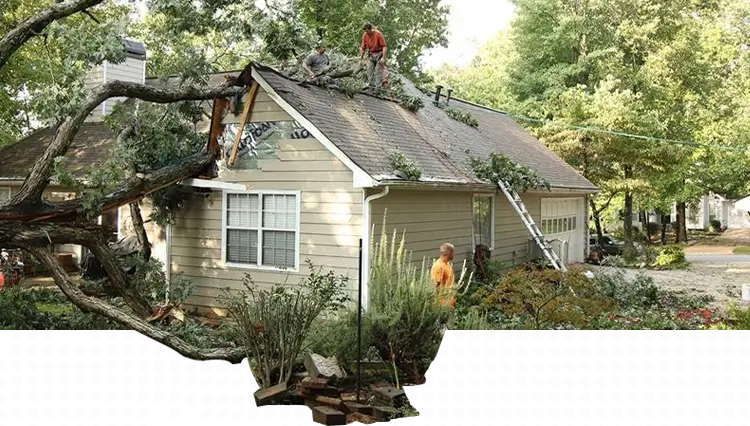 Storm Damage